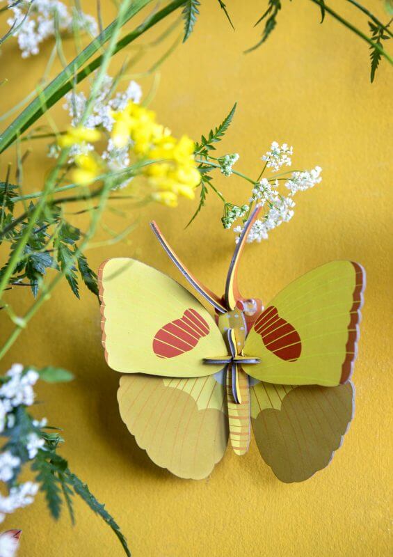 Yellow Butterfly Studio Roof